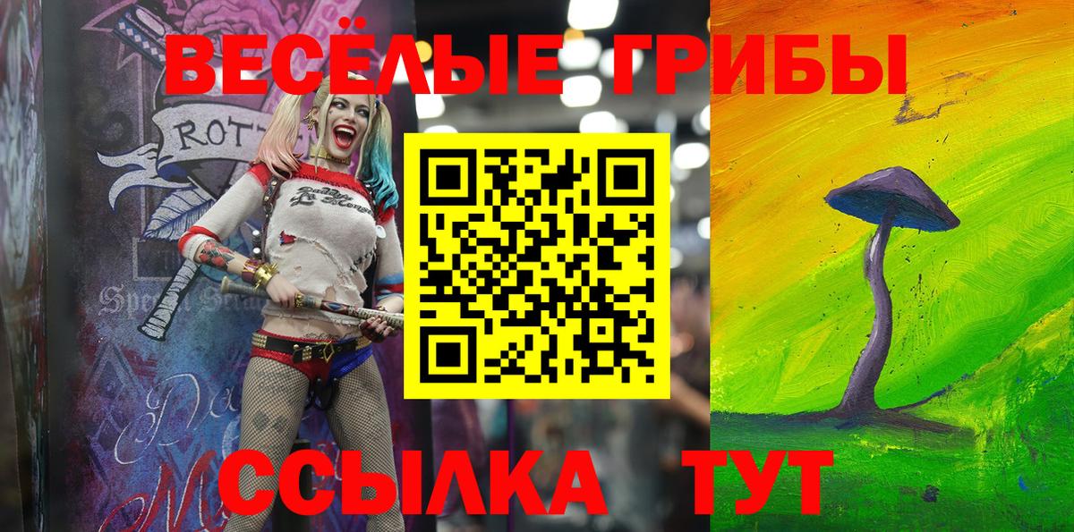 Галлюциногенные грибы Psilocybe  что такое   Феодосия  Вход с VPN 