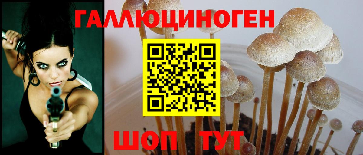 Галлюциногенные грибы мицелий Феодосия